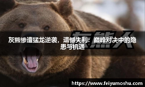 jn江南·(中国区)体育官方网站