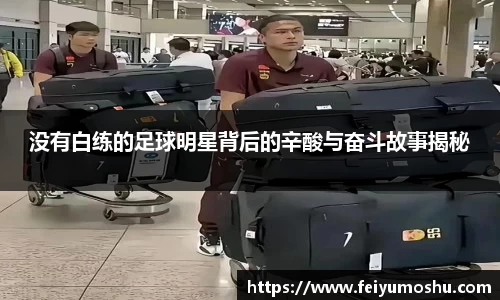 jn江南·(中国区)体育官方网站